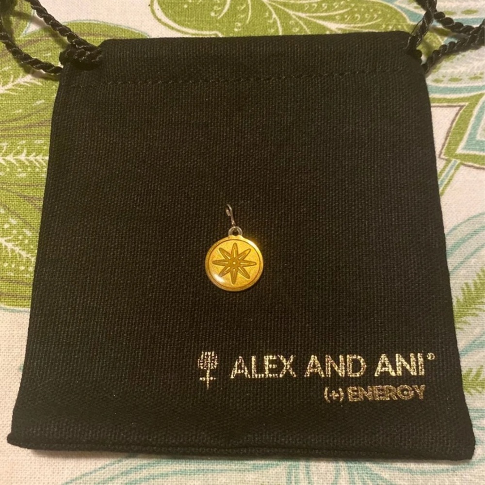 Star of Venus Charm